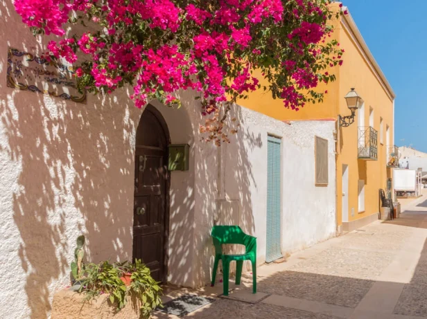 Excursión a la isla Tabarca