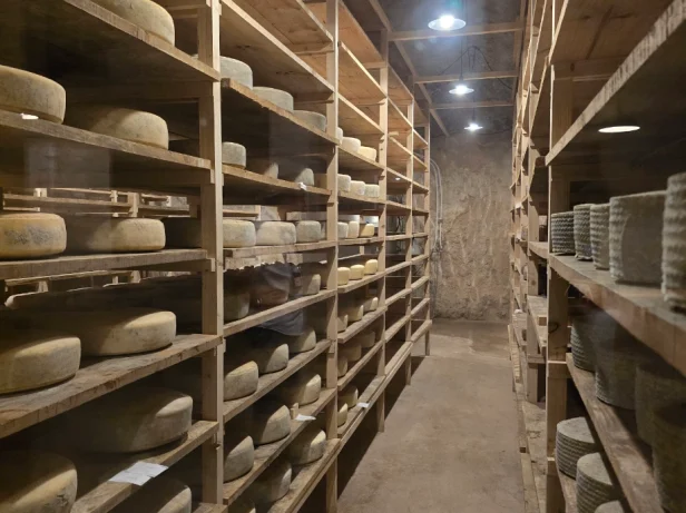 Visite de la fromagerie d'Utiel-Requena