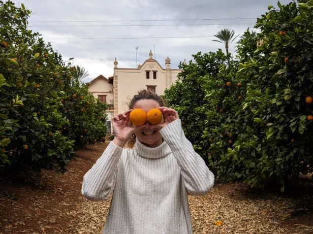 Une promenade dans l'orangeraie
