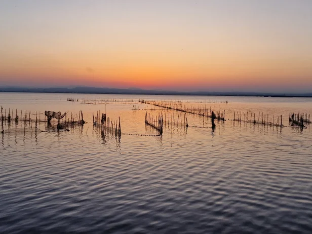 parque-natural-albufera_10