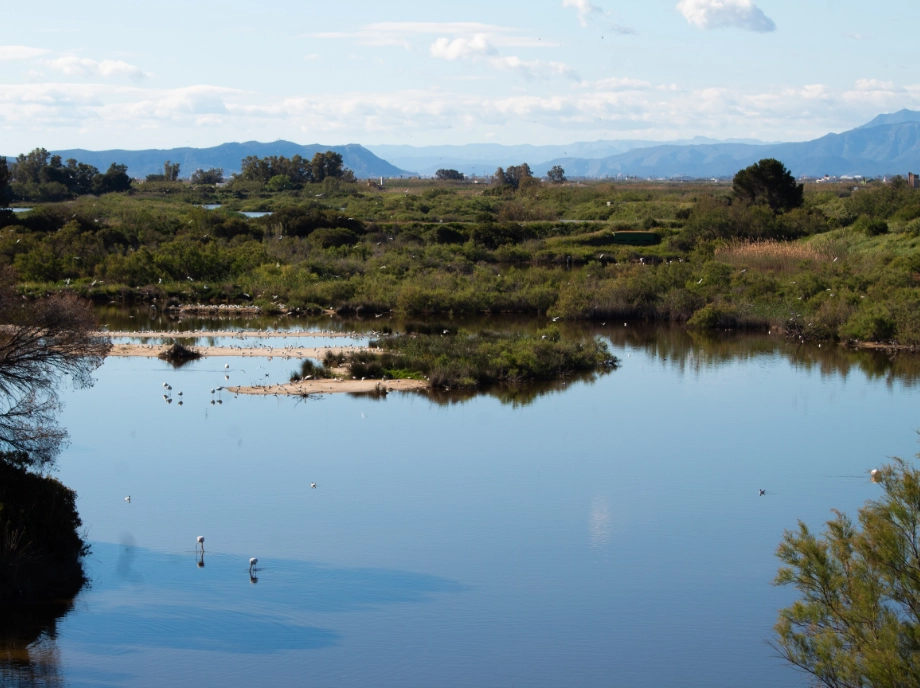 vistas de la Albufera
