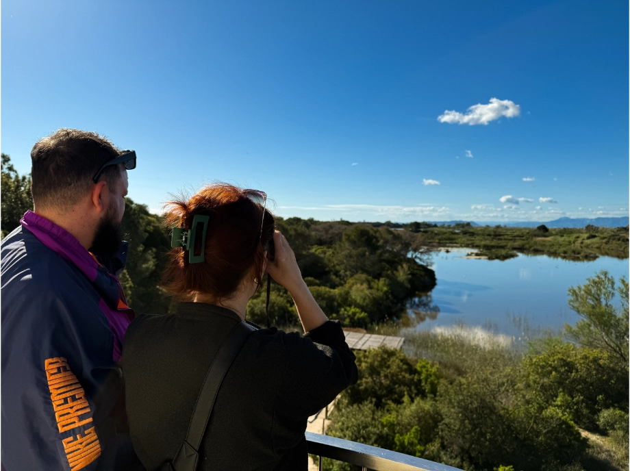 Vistas de la Albufera