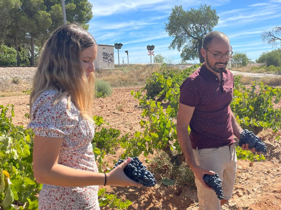 Paseo por la viña en Utiel-Requena