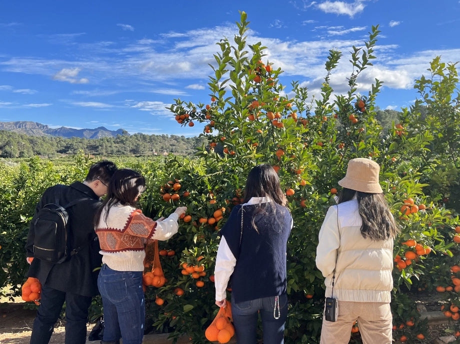 Recorrido por la finca y el huerto de naranjas