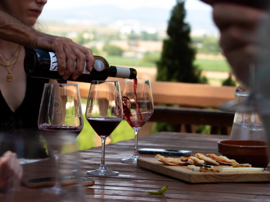 Experiencia con cata en la quesería en Utiel-Requena