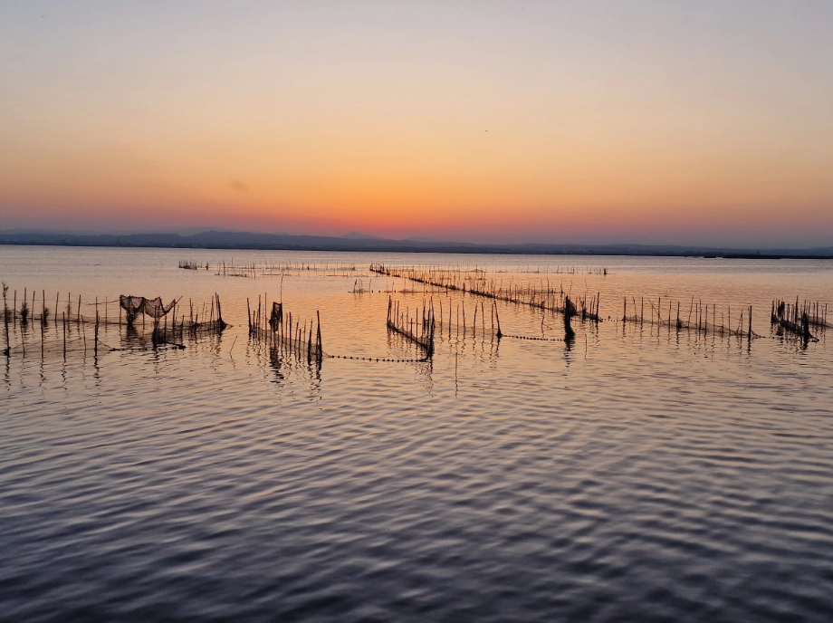 Puesta de sol en la Albufera